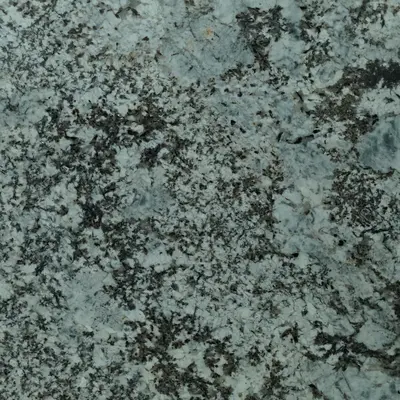Alaska White